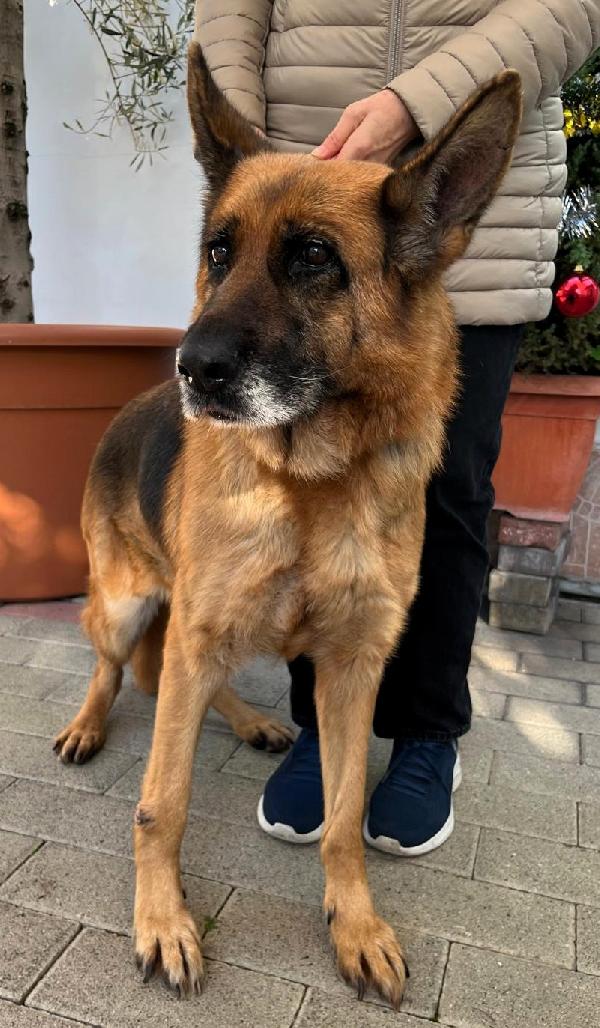 GIANNA PASTORE TEDESCO Foto 8